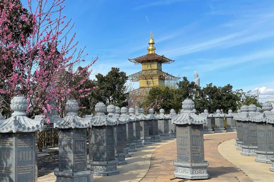 Hành Hương Đầu Năm - Ngắm Hoa Hạnh Nhân nở rộ - Kết hợp viếng thăm Chùa Tâm Từ và  Thiền Viện Vô Ưu